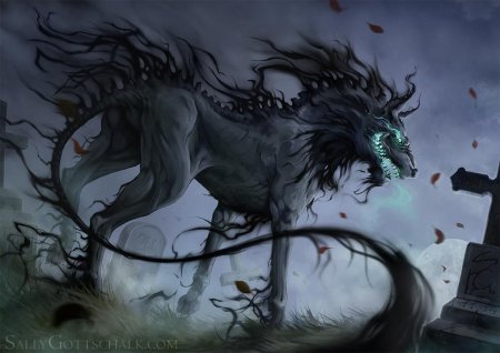 Чёрный шак мифические собаки