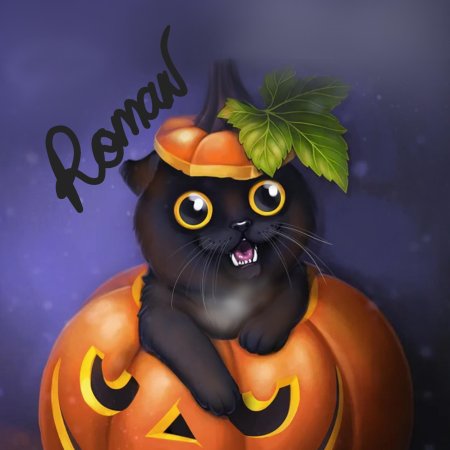 Хэллоуин кот