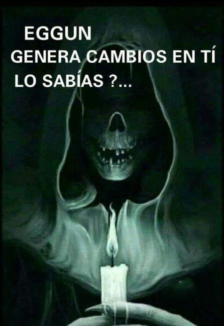 Череп скелет