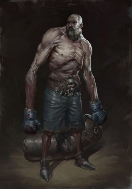 Кулачный боец арт фэнтези