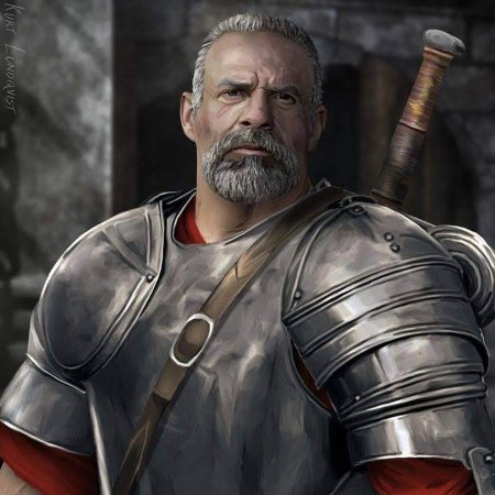 Капитан стражи днд