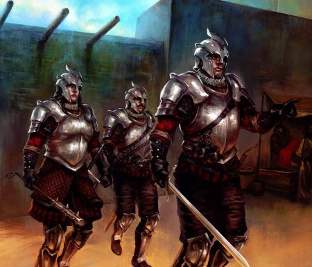 Капитан стражи днд