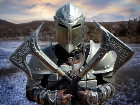 Скайрим стража рассвета арт