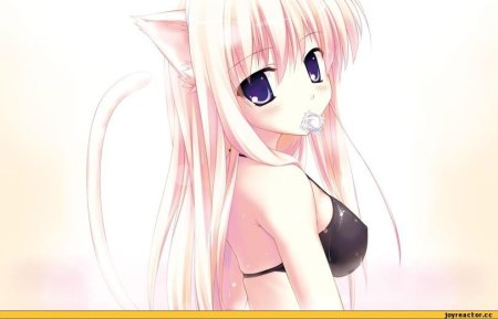 Няшка аниме