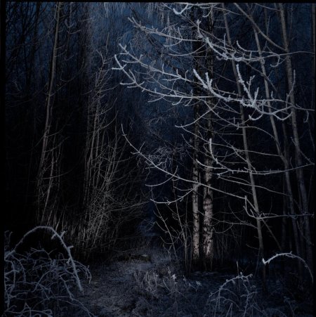 Страшный лес