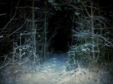 Страшный зимний лес