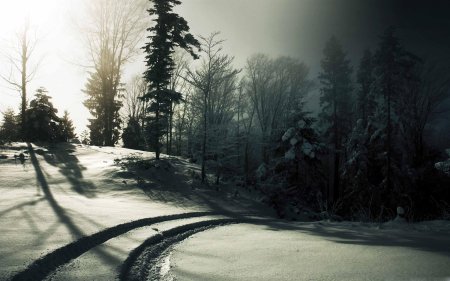 Зима мрачная