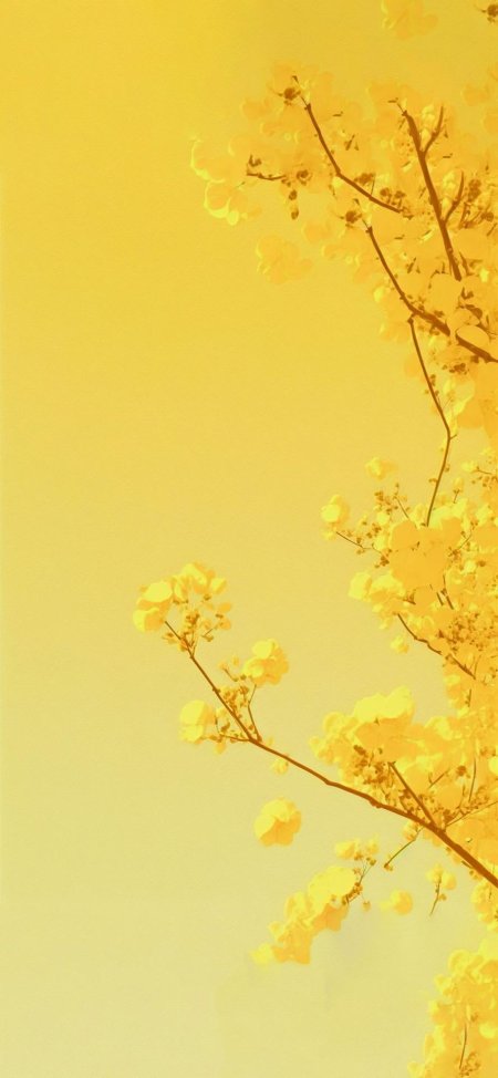 Yellow aesthetic wallpaper