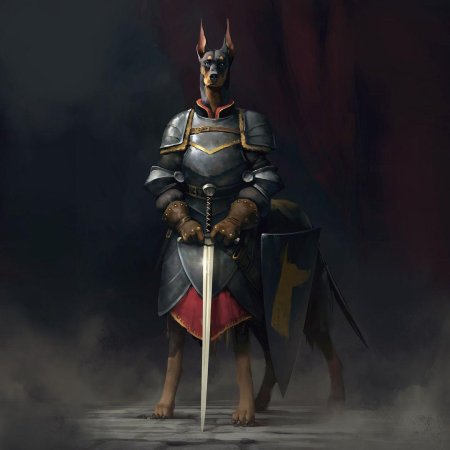 Доберман рыцарь