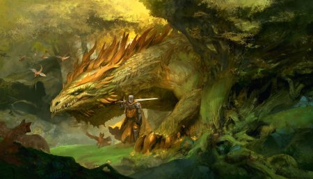 Kekai kotaki рыцари