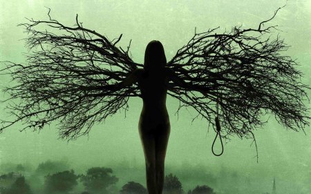 Дерево висельника