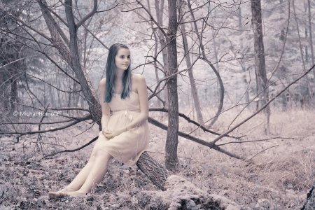 Идеи для фотосессии в лесу