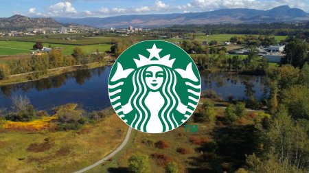 Сирена логотип старбакс