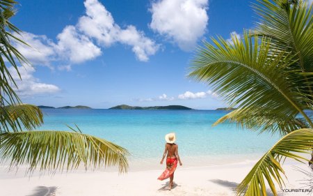 Море пальмы пляж