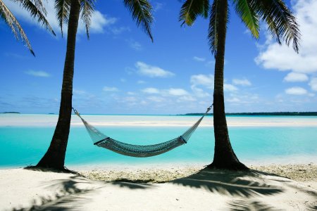Гамак между пальмами