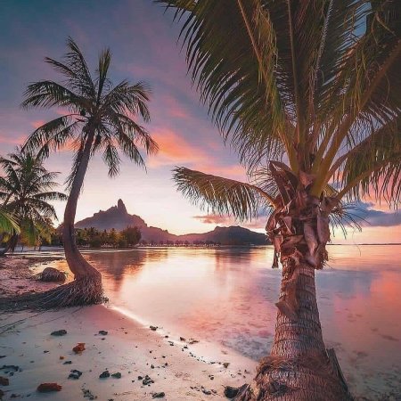 Море с пальмами