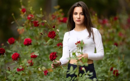Розы женщине