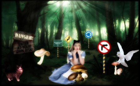 Алиса в стране чудес грибы