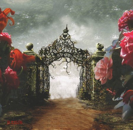 Алиса в стране чудес зазеркалье лес