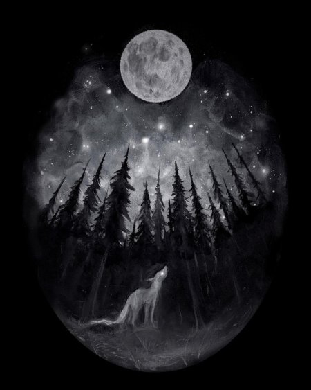 Темный лес с луной