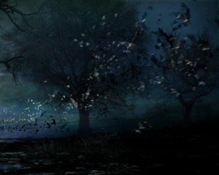 Темный лес фэнтези