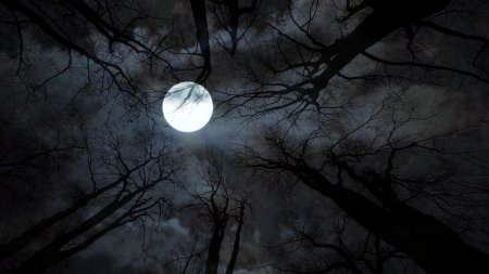 Страшная луна
