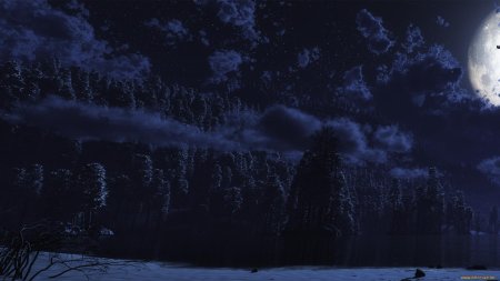 Лунная ночь