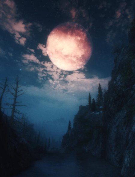 Ночной лес с луной