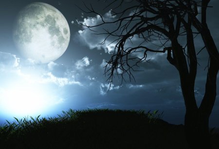 Лунная ночь