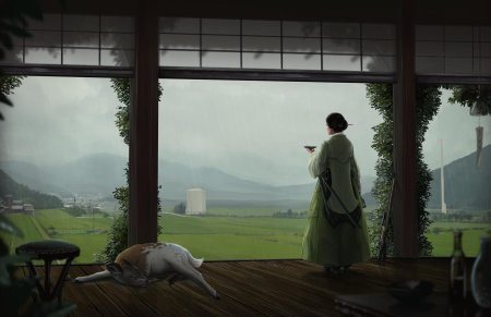 Япония дождь