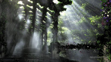 Дождь в лесу