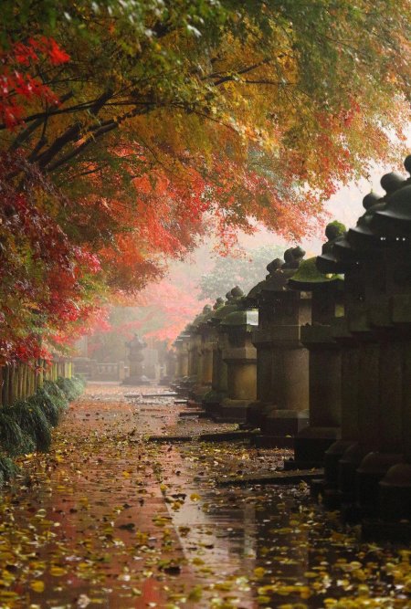 Япония осень