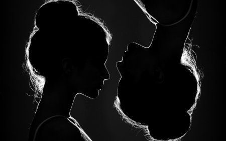 Силуэт двух девушек