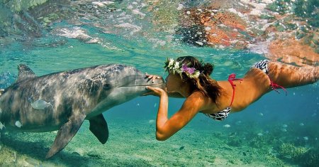 Девушка с дельфином