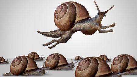 Летающая улитка