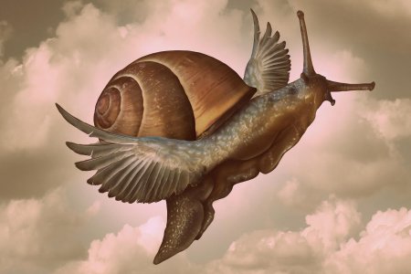 Сюрреализм в живописи улитка