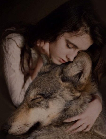 Волк девушка