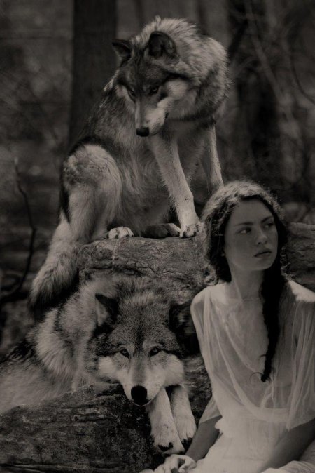 Девушка и волк