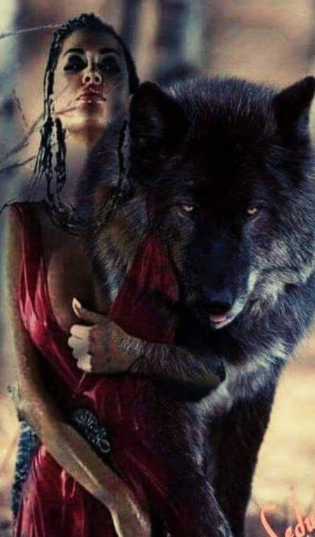 Фотосессия с волками