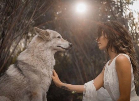 Девушка с волками