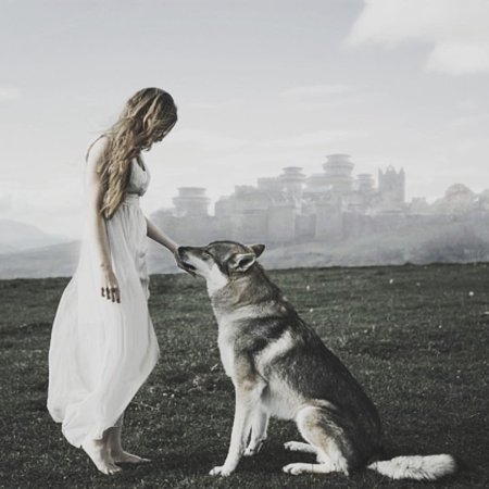 Девушка и волк