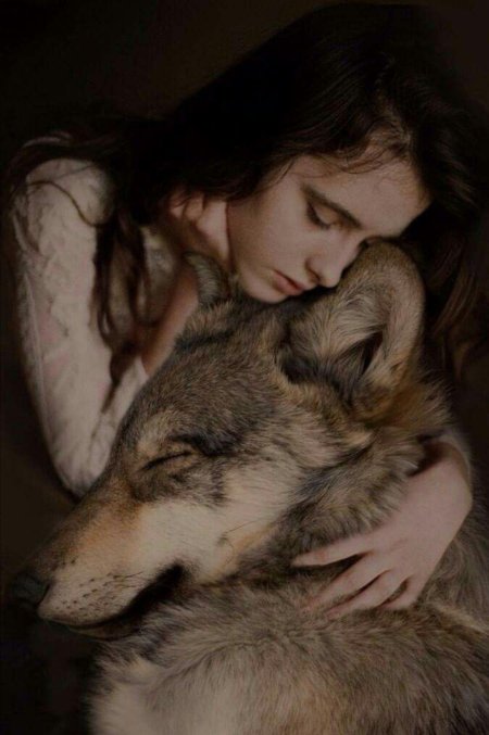 Волк девушка