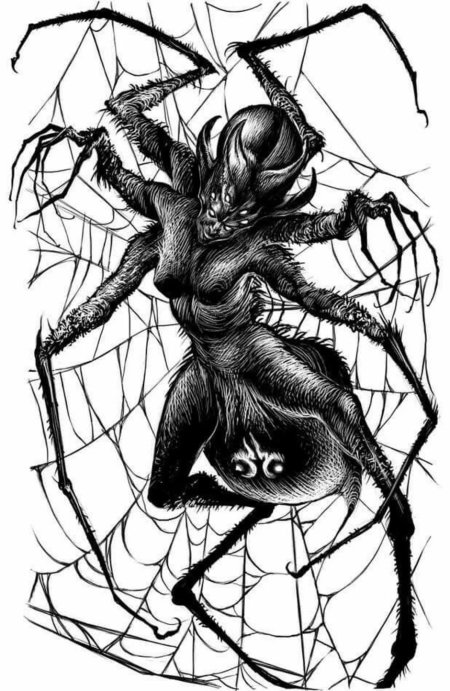 Эскиз тату паук