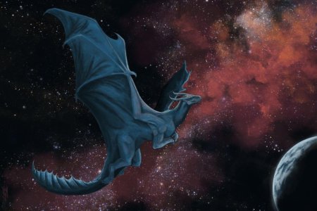 Звёздный дракон вельданава