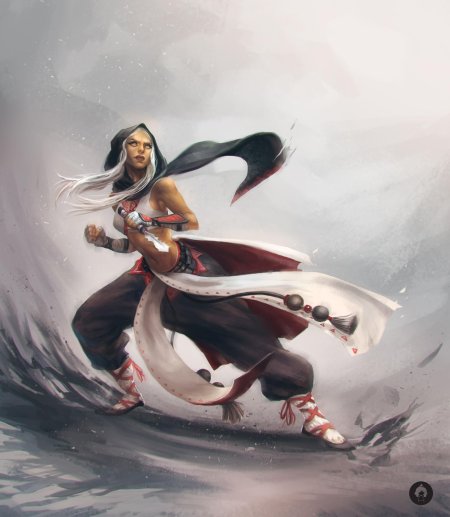 Монах днд арт