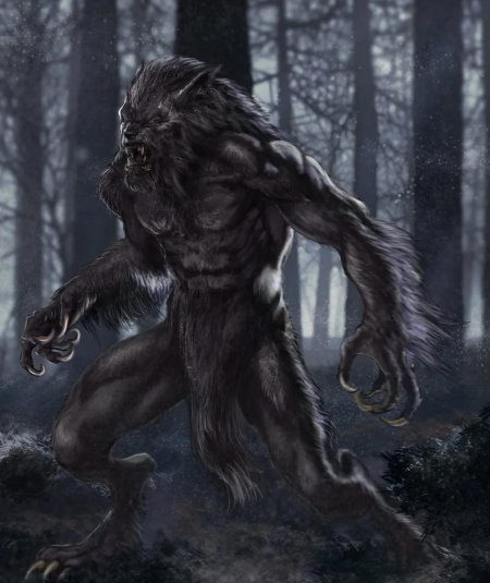 Вервольф волк оборотень