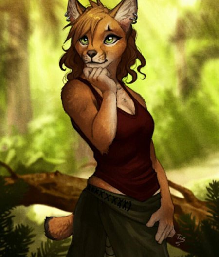 Фурри рысь самка