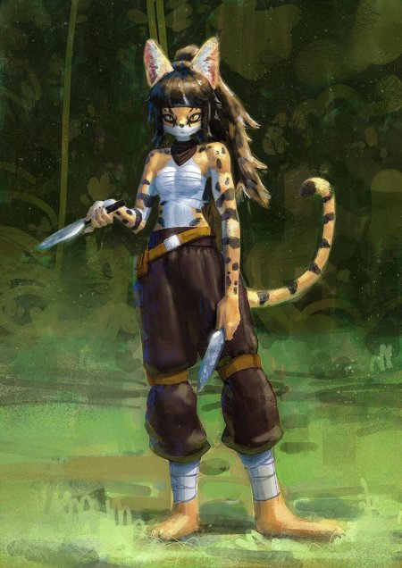 Фурри кошка