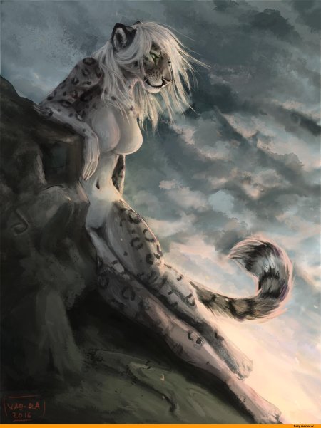 Фурри снежный барс