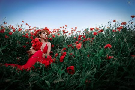 Фотосессия в маковом поле